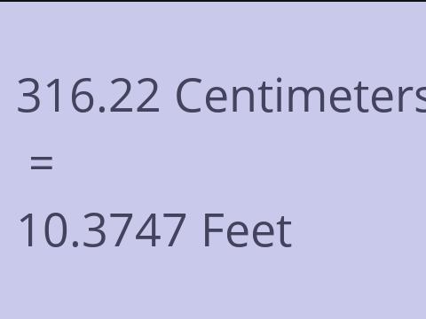 316.22 CM TO FEET