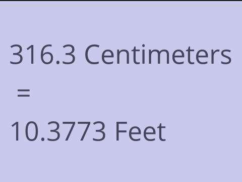 316.3 CM TO FEET