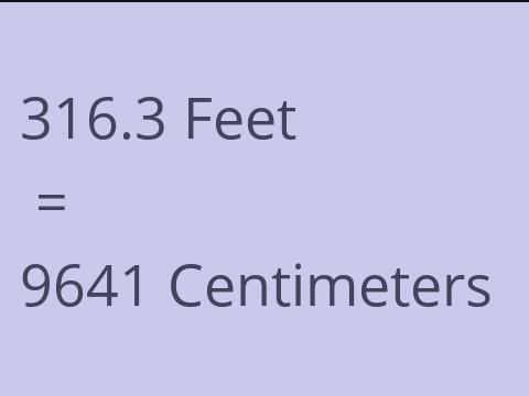 316.3 FEET TO CM