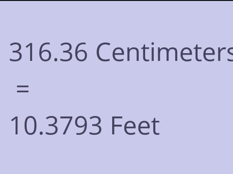 316.36 CM TO FEET