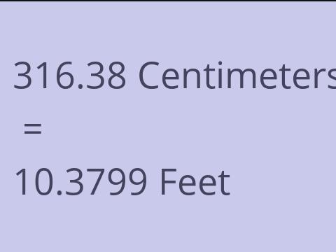 316.38 CM TO FEET