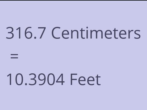 316.7 CM TO FEET