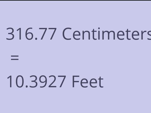 316.77 CM TO FEET