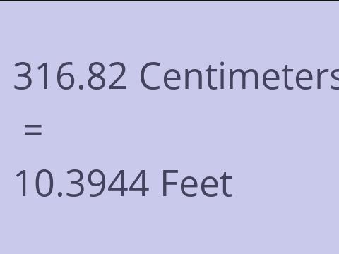 316.82 CM TO FEET