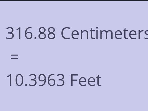 316.88 CM TO FEET