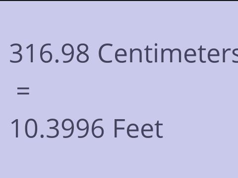 316.98 CM TO FEET