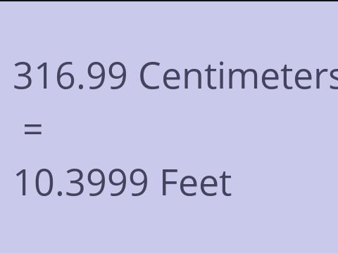 316.99 CM TO FEET