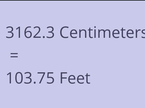 3162.3 CM TO FEET