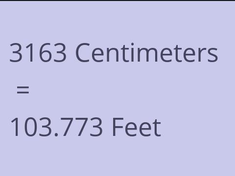 3163 CM TO FEET