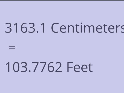 3163.1 CM TO FEET