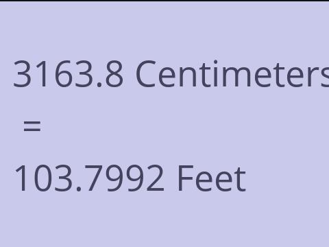 3163.8 CM TO FEET