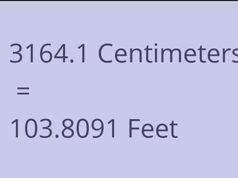 3164.1 CM TO FEET