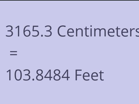 3165.3 CM TO FEET