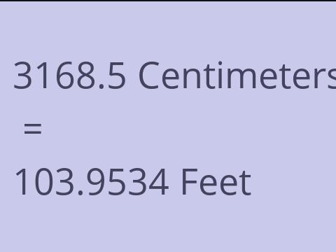 3168.5 CM TO FEET