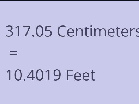 317.05 CM TO FEET