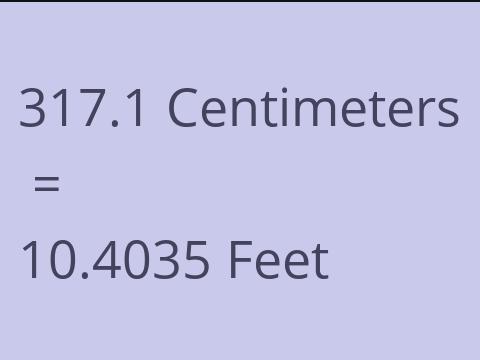 317.1 CM TO FEET