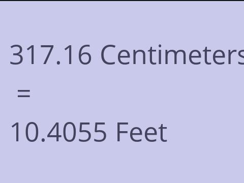 317.16 CM TO FEET