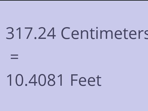 317.24 CM TO FEET