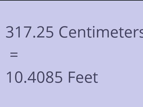 317.25 CM TO FEET