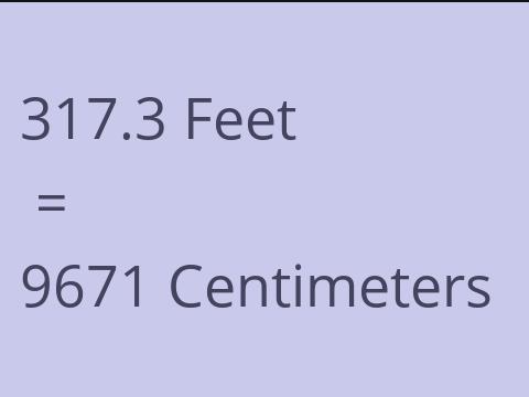 317.3 FEET TO CM