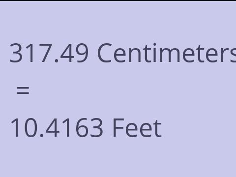 317.49 CM TO FEET