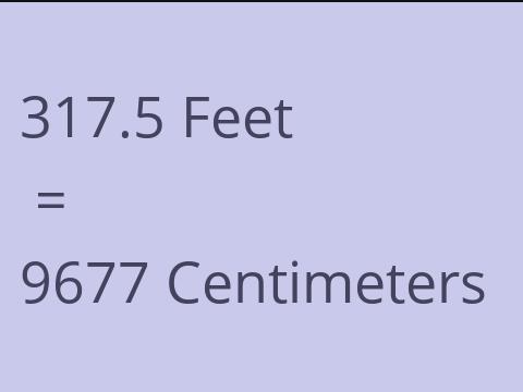 317.5 FEET TO CM