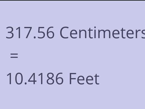 317.56 CM TO FEET