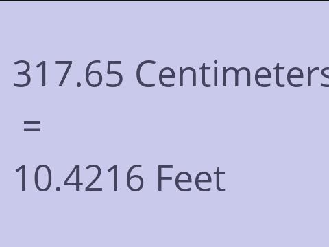 317.65 CM TO FEET