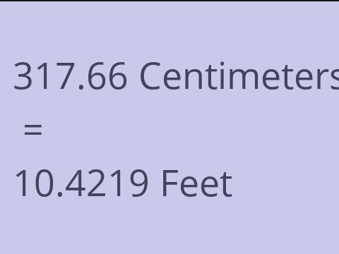 317.66 CM TO FEET