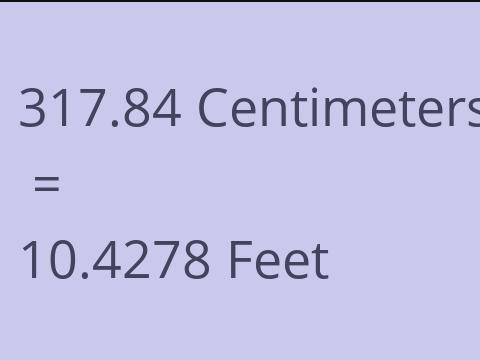 317.84 CM TO FEET