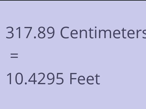 317.89 CM TO FEET