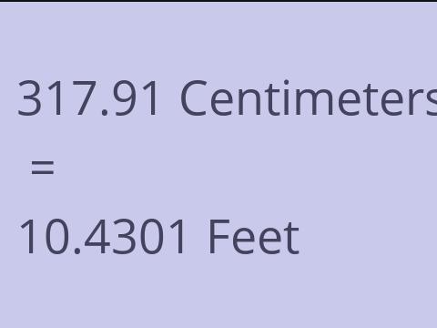 317.91 CM TO FEET