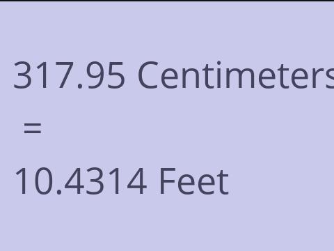 317.95 CM TO FEET