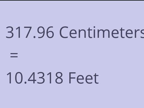 317.96 CM TO FEET