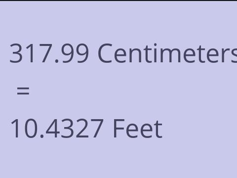 317.99 CM TO FEET