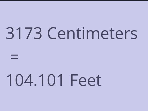 3173 CM TO FEET