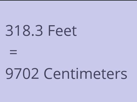 318.3 FEET TO CM