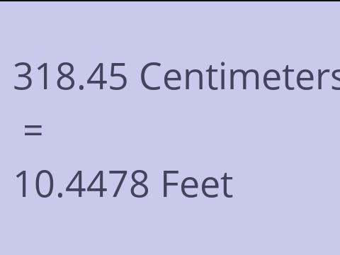 318.45 CM TO FEET