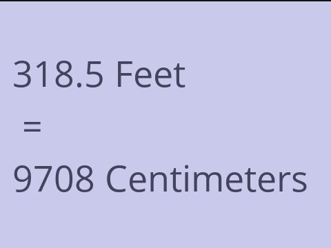 318.5 FEET TO CM