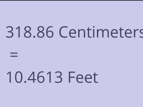 318.86 CM TO FEET