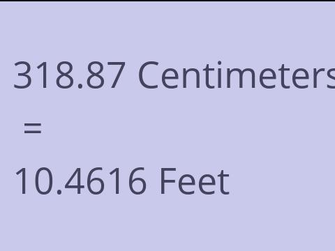 318.87 CM TO FEET