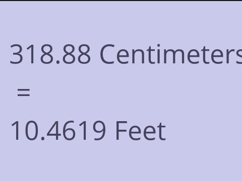 318.88 CM TO FEET