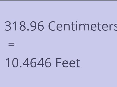 318.96 CM TO FEET