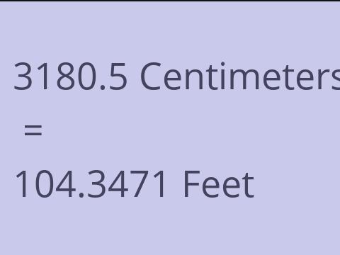 3180.5 CM TO FEET