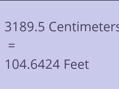 3189.5 CM TO FEET