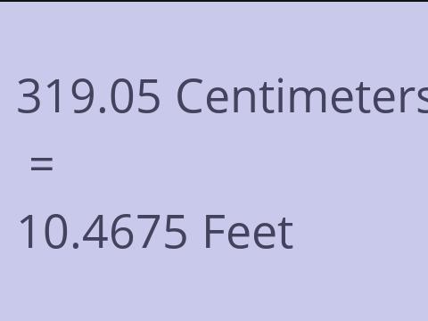 319.05 CM TO FEET