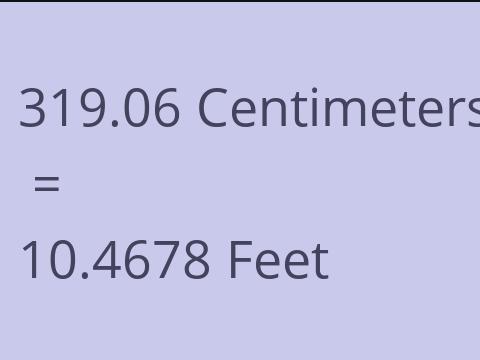 319.06 CM TO FEET