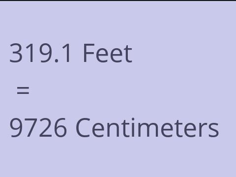 319.1 FEET TO CM