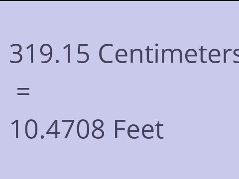 319.15 CM TO FEET