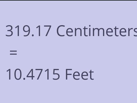 319.17 CM TO FEET